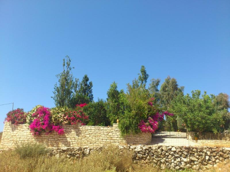 Mikros Paradisos Somatas Bagian luar foto